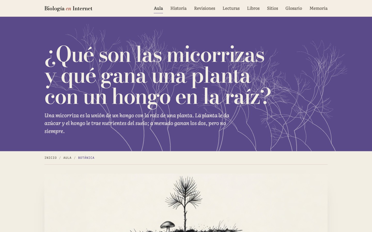 LO QUE APRENDIMOS
